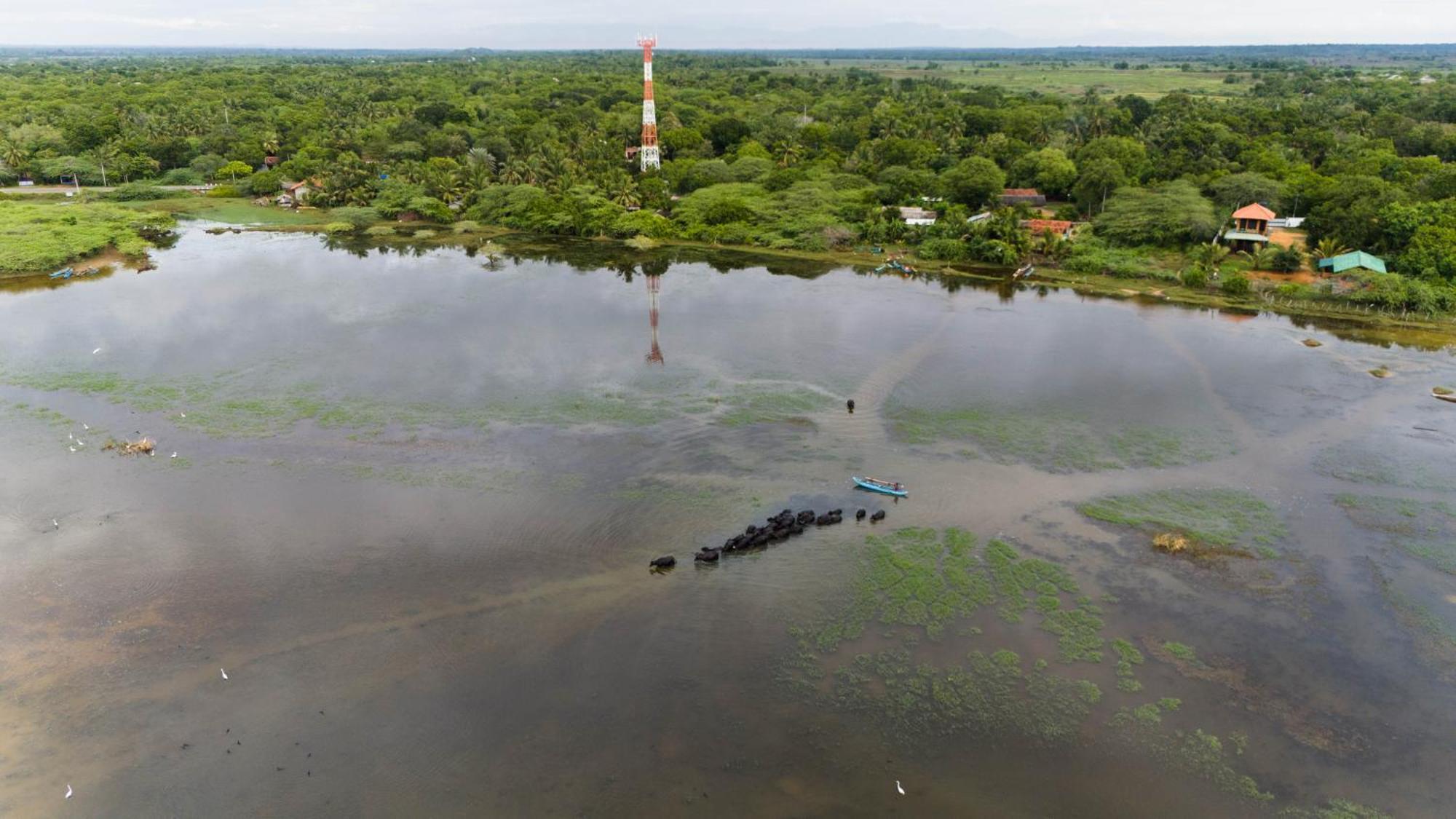 Bundala Flamingo Cotteges Hotel Hambantota Bagian luar foto