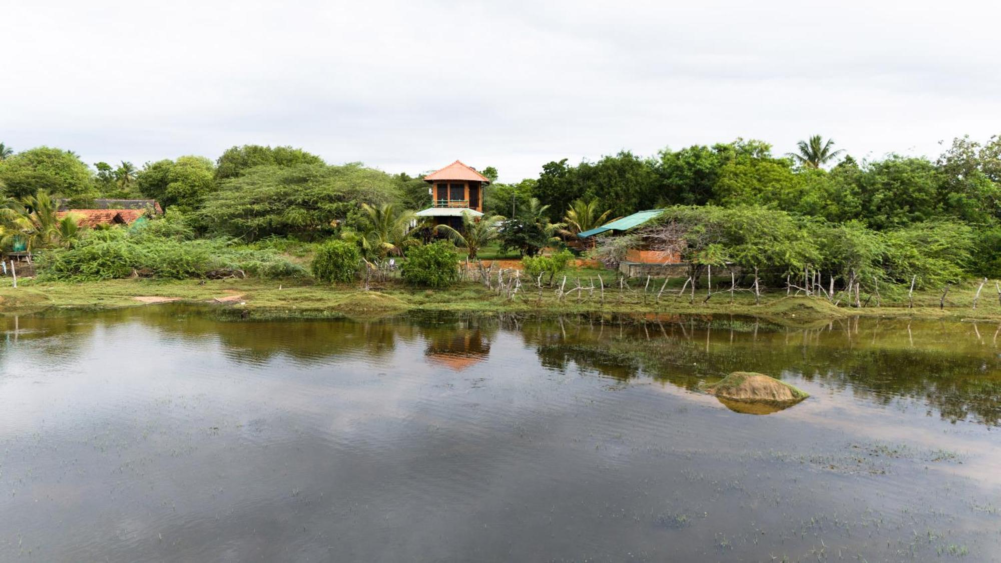 Bundala Flamingo Cotteges Hotel Hambantota Bagian luar foto